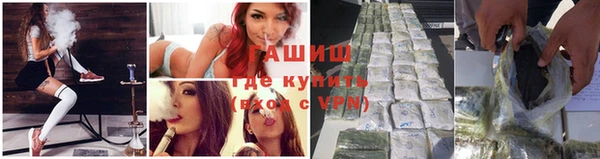 хмурый Белокуриха