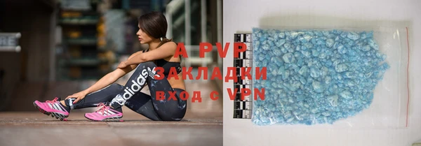 хмурый Белокуриха