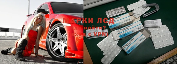 ECSTASY Беломорск
