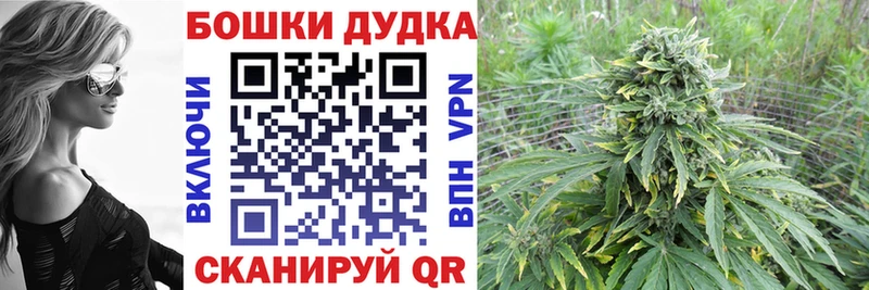 Конопля SATIVA & INDICA  Ельня 